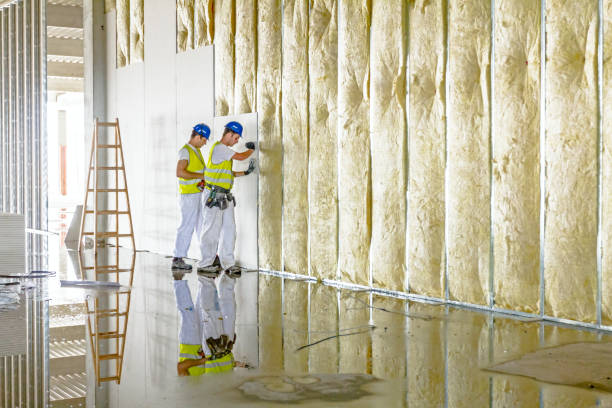 Best Cellulose Insulation in Fuquay Varina, NC